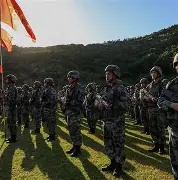 全队团结协作无间，战斗力显著提升的简单介绍